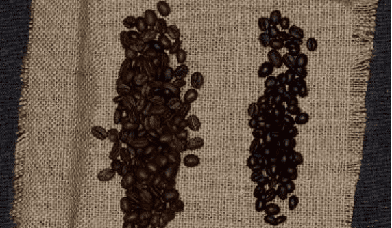 Coffee beans used for coffee liqueur