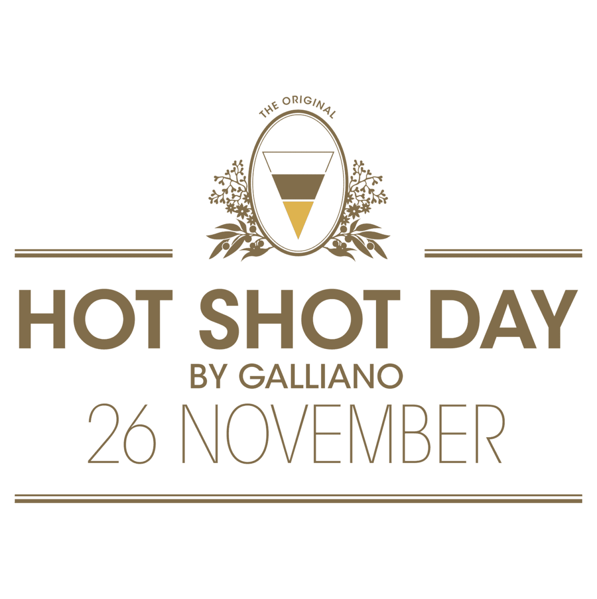 hot shot day 26 november